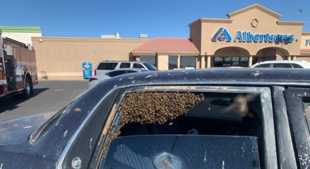 Méhek lepték el az autóját